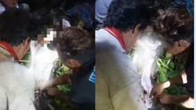 Di Kabupaten Luwu Utara, Sulawesi Selatan, seorang pria bernama Benjo (30) ditemukan sudah meninggal di dalam perut ular piton sepanjang 6 meter. Sebelum kejadian, Benjo diketahui pergi ke kebun untuk mengambil gula aren.