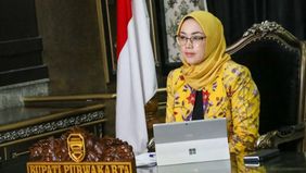 Calon Bupati petahana, Anne Ratna Mustika, yang sebelumnya merupakan istri Dedi Mulyadi dan berpasangan dengan Budi Hermawan, mengalami kekalahan suara yang signifikan dibandingkan dengan pasangan Saepul Bahri Binzein-Abang Ijo Hapidin.