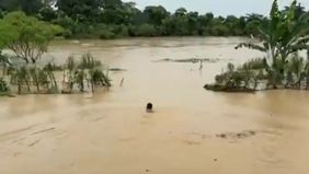 Briptu Yohanes Abdi Sibarani menjadi viral karena keberaniannya menyelamatkan seorang manula yang terjebak banjir di Sumut.