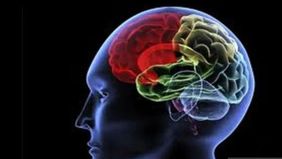 Penyumbatan pembuluh darah otak bisa menjadi ancaman serius yang berujung pada stroke. Namun, sebelum kondisi memburuk, tubuh sering kali memberi tanda-tanda awal melalui gejala yang muncul di bagian wajah, tangan, dan penglihatan. 