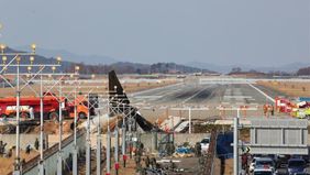 Bandara Internasional Muan, tempat terjadinya kecelakaan pesawat Jeju Air, tercatat memiliki tingkat bird strike atau serangan burung tertinggi di antara 14 bandara regional di Korea.