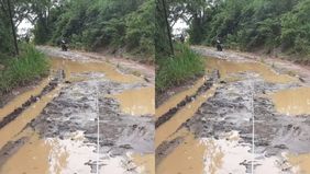 DPR berharap revisi Undang-Undang Jalan membuat pengelolaan jalan daerah diambil alih pemerintah pusat