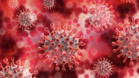 Lonjakan kasus infeksi Human Metapneumovirus (HMPV) di beberapa negara, khususnya China, telah menimbulkan kekhawatiran global mengenai potensi pandemi baru. 