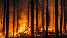 Kebakaran hutan yang meluas dengan cepat di Los Angeles, California, memaksa sekitar 30.000 penduduk mengungsi. Pejabat setempat memperingatkan bahwa angin kencang yang semakin buruk dapat memperparah situasi.