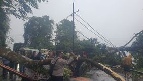 Putusnya akses jalan tersebut mengakibatkan antrean kendaraan yang cukup panjang di Jalan. Jamin Ginting Km 55-56, Desa Doulu, Kecamatan Berastagi, Kabupaten Karo.