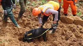 Tim K-9 dari Polda Jawa Tengah berhasil menemukan seorang bayi berusia lima bulan yang tertimbun akibat tanah longsor di Pekalongan, Jawa Tengah.