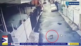 Kucing Berumur 2 Tahun Tersebut Mengalami Kejang-Kejang Dan Tewas Akibat Luka Tembak Di Kepala.
