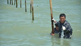 Jajaran TNI Angkatan Laut (AL) berhasil membongkar pagar laut sepanjang 22,5 km, dengan rincian 18,2 km di Tanjung Pasir dan 4,3 km di Kronjo, Tangerang, Banten