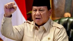 Sejatinya, isu keterlibatan TNI terkait ketahanan pangan bukanlah hal baru. Sejak 2012, Kementerian Pertanian dan TNI AD telah meneken nota kesepahaman tentang program ketahanan pangan. 