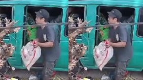 Sebuah video pembuangan sampah sembarangan yang sangat mengejutkan terekam jelas oleh kamera CCTV dan beredar luas di media sosial.