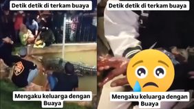 Pria yang mengaku keluarga buaya di Makassar terluka parah setelah mencoba mengelus hewan tersebut yang ditahan di Cimory Land, Gowa.