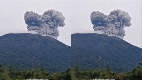 Nampak kepulan abu vulkanik membumbung tinggi dari gunung Marapi.