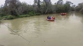 Kepolisian Daerah (Polda) Riau meminta pihak perusahaan bertanggung jawab atas 15 korban tewas dalam insiden truk yang terjun ke Sungai Segati, Desa Segati, Kecamatan Langgam, Kabupaten Pelalawan.