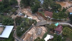 Temuan Forest Watch Indonesia (FWI) mengungkapkan bahwa kerusakan hutan di tiga daerah aliran sungai (DAS) utama Ciliwung, Bekasi, dan Cisadane telah mencapai 2.300 hektare. 