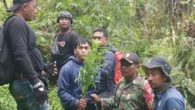 Balai Besar Taman Nasional Bromo Tengger Semeru (TNBTS) memberikan penjelasan mengenai video viral yang memperlihatkan adanya ladang ganja di kawasan mereka.