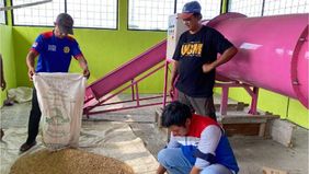 Sepanjang tahun 2023 saja, sebanyak 50.469 hektar sawah di 20 provinsi gagal panen akibat banjir. BNPB sendiri mencatat terjadi 331 bencana banjir atau 44% dari total kejadian bencana pada 2023.