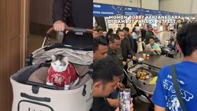 Bobby Kertanegara merupakan kucing peliharaan Presiden Prabowo Subianto yang ramai dikenal warganet hingga memiliki banyak penggemar.