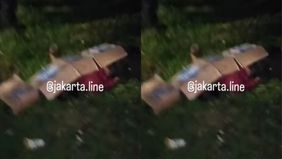 Penasaran informasi apa saja yang paling menyita perhatian pembaca di NTVNews.id kemarin? Sejumlah topik menarik sukses mendominasi halaman utama dan menjadi sorotan publik.