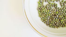 Manfaat kacang hijau lebih dari sekadar camilan tradisional. Dengan kandungan protein, serat, antioksidan, vitamin, dan mineral yang lengkap, kacang hijau layak disebut superfood lokal.
