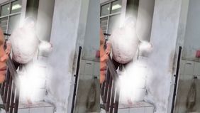Sebuah video yang memperlihatkan seorang nenek diduga mencuri bawang putih dan kemudian menjadi sasaran amuk massa di Pasar Mangu, Desa Ngesrep, Kecamatan Ngemplak, Kabupaten Boyolali, viral di media sosial. 