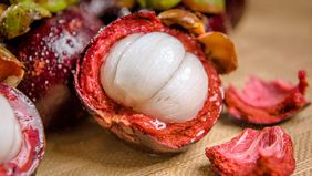 Kulit manggis adalah lebih dari sekedar limbah buah manggis. Bahan alami ini memiliki banyak manfaat kesehatan karena mengandung xanthone, antioksidan, anti-inflamasi, dan senyawa bioaktif lainnya.