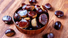 Walau terkenal karena aromanya yang kuat, manfaat jengkol untuk kesehatan tidak bisa dipandang sebelah mata. Mulai dari menjaga kesehatan pencernaan, tulang, tekanan darah, hingga memberikan asupan antioksidan, jengkol layak dijadikan salah satu bagi