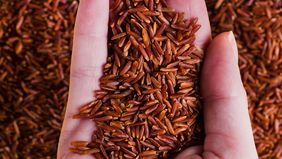 Dengan segudang manfaat yang dimilikinya, beras merDi tengah maraknya tren gaya hidup sehat, beras merah kembali mencuri perhatian sebagai salah satu superfood lokal yang patut diperhitungkan. 