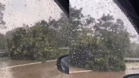 Hujan deras disertai angin kencang yang melanda wilayah Cibinong, Sentul, hingga Citeureup pada Sabtu, 10 Mei 2025 sore menyebabkan sejumlah pohon tumbang di sepanjang ruas Tol Jagorawi arah Sentul-Citeureup.