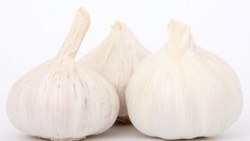 Bawang putih tunggal memang kecil, tetapi manfaatnya besar. Mulai dari meningkatkan imunitas, menyehatkan jantung, membantu kontrol gula darah, hingga menjaga pencernaan dan vitalitas.
