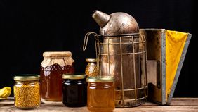 Madu hitam adalah sumber nutrisi kompleks yang dapat membantu kesehatan tubuh Anda. Itu bukan hanya jenis madu yang pahit.  Madu hitam dapat menjadi investasi alami untuk kesehatan Anda dalam jangka panjang, membantu meningkatkan sistem kekebalan dan
