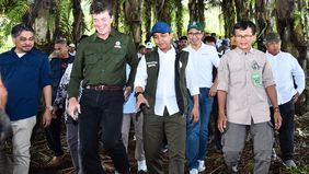 Menteri Kehutanan Republik Indonesia, Raja Juli Antoni, melaksanakan kunjungan kerja ke perkebunan aren milik masyarakat di Kabupaten Garut, Jawa Barat pada Sabtu, 10 Mei 2025.