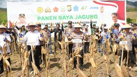  Panen raya untuk mewujudkan kemandirian serta ketahanan pangan Indonesia ini merupakan wujud komitmen dari mendukung dan mengawal program Asta Cita yang dicanangkan oleh Presiden Prabowo Subianto. 