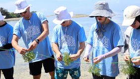 Dalam kegiatan ini, Midea menanam 1.000 coral dan 500 kilogram rumput laut di kawasan pesisir Pulau Tidung Kecil. Langkah ini merupakan bagian dari komitmen perusahaan dalam mendukung target pemerintah Indonesia untuk mencapai Net Zero Emission pada 