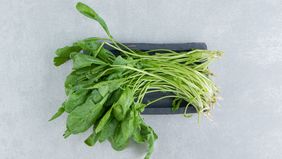 Bayam bukanlah sekadar sayuran biasa. Dengan kandungan nutrisi yang lengkap dan manfaat yang begitu beragam, bayam layak mendapat tempat utama di meja makan keluarga Indonesia. 