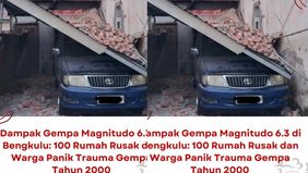 Menurut Gubernur Bengkulu, Helmi Hasan, kerusakan akibat gempa ini mencapai sekitar 100 rumah, terdiri dari rumah yang rusak berat maupun ringan.