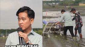 Wakil Presiden RI Gibran Rakabuming Raka kembali menjadi sorotan warganet usai mengunggah video kunjungan kerjanya ke Desa Gempel, Ngawi, Jawa Timur, di akun TikTok resminya. Alih-alih menuai pujian, video yang menunjukkan Gibran turun ke sawah justr
