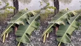 Warga Rorotan dikejutkan dengan penemuan sesosok mayat pria di kawasan Taman Sungai Kendal pada Kamis, 29 Mei 2025 pagi.