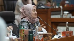 Izin tambang nikel di Raja Ampat yang dikelola beberapa perusahaan sudah ada sejak wilayah ini masih bagian dari Provinsi Papua Barat. Namun, keterbatasan kewenangan pemerintah daerah dalam mengatur izin tambang membuat upaya perlindungan lingkungan.