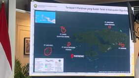 Adapun keempat perusahaan tambang yang kini tak lagi mengantongi izin adalah PT Anugerah Surya Pratama (ASP), PT Mulia Raymond Perkasa (MRP), PT Kawei Sejahtera Mining (KSM), dan PT Nurham.

