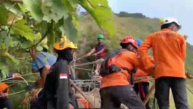Seorang pendaki tektok bernama Jovita Diva Prabudawardani (21), warga Desa Tanjung Rejo, Kecamatan Jekulo, Kudus, ditemukan meninggal dunia setelah terjatuh ke jurang sedalam 180 meter di kawasan Gunung Muria. 
