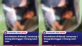 Adapun kendaraan yang terlibat yakni mobil Daihatsu Terios warna Silver nomor Polisi B 1765 NFC dengan Toyota kijang warna hijau nomor Polisi BG 1449 MS.
