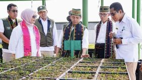  Menteri Kehutanan Raja Juli Antoni menekankan bahwa pembangunan persemaian permanen bukan hanya berperan dalam menjaga kelestarian hutan, tetapi juga berpotensi mendorong peningkatan kesejahteraan masyarakat.