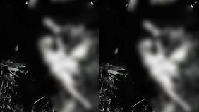 Seorang pria lanjut usia di Lampung Barat ditemukan tewas mengenaskan dengan kondisi tubuh tidak utuh. Korban, Misni (62), warga Pemangku Kali Pasir, Pekon Sukabumi, Kecamatan Batu Brak, diduga menjadi korban serangan binatang buas saat berada di keb