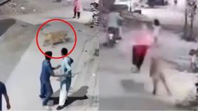 Insiden mengerikan terjadi di Pakistan ketika seekor singa peliharaan lepas dari kandang dan menyerang seorang wanita serta dua anaknya. Hewan buas itu ternyata dipelihara secara ilegal di sebuah rumah peternakan di Punjab.