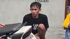 Viral Pria Kesurupan Gegara Lempar Monyet Keramat di Monkey Forest Ubud