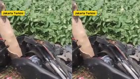 Menurut keterangan warga, diduga korban hendak menghindari mobil di depannya lalu banting stang hingga menabrak pembatas jalan dan pohon.