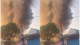 Usai mendapat laporan, sekitar 5 unit mobil damkar dengan 25 personel langsung diterjunkan ke lokasi.