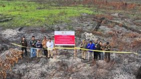 Kementerian Kehutanan (Kemenhut) bersama sejumlah pihak di Kalimantan Barat melakukan penyegelan terhadap dua konsesi perusahaan yang terlibat dalam kebakaran hutan seluas 400 hektare di kawasan dekat perbatasan Indonesia dan Malaysia.