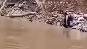 Bermodalkan tas medis di punggung, ia nekat menuruni napal curam dan menyeberangi sungai berlumpur berarus deras. Tidak ada perahu. Tidak ada jembatan darurat. Tidak ada tim evakuasi. Namun tekadnya tak gentar.