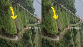 Sebuah kecelakaan tragis terjadi di wilayah perbukitan Himachal Pradesh, India, ketika sebuah traktor buldoser terguling dan jatuh sejauh 300 meter ke lereng gunung saat sedang membuka jalan raya. Insiden tersebut merenggut nyawa operator alat berat,